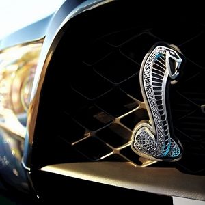 Meet your Posher, Ben